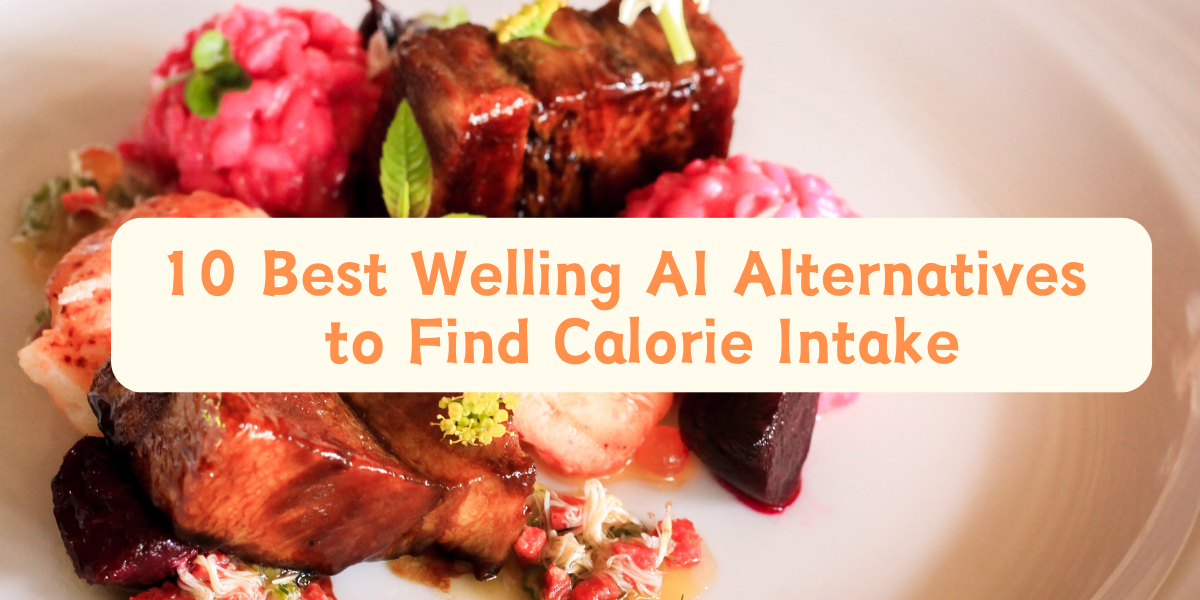 10 Best Welling AI Alternatives to Find Calorie Intake