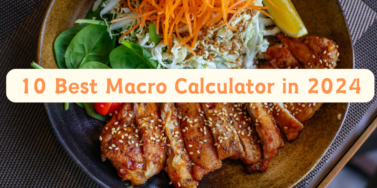 10 Best Macro Calculator in 2024