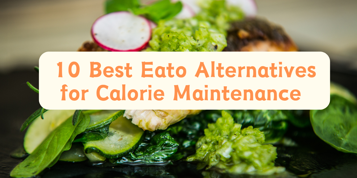 10 Best Eato Alternatives for Calorie Maintenance